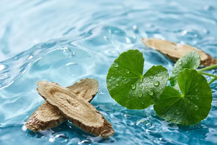 Formulasi Air Laut Dalam Ulleungdo dan water-jelly Meadowestolide Astragalus